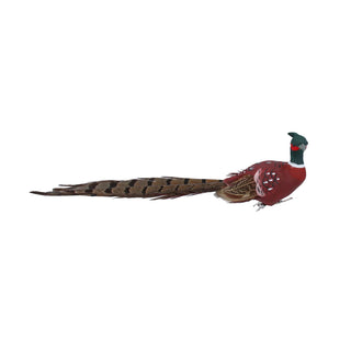 Natural Feathered Pheasant Clip-On Decoration | Christmas Tree Ornament - 22cm