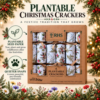 6 Plantable Christmas Crackers, Botanical Print with Wildflower Seeds