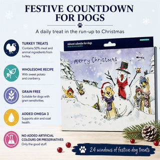 Dog Treat Advent Calendar, Turkey Christmas Countdown with Numbered Doors