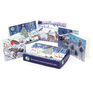 Pack of 20 RSPB Charity Christmas Greeting Cards | Winter Wildlife Designs