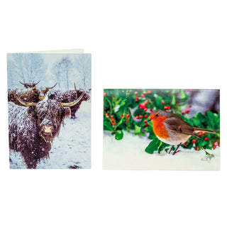 Pack of 20 National Trust Charity Christmas Greeting Cards | Winter Wildlife