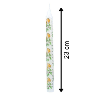 Robin & Holly Advent Countdown Candle | Numbered Christmas Candle Calendar 23cm