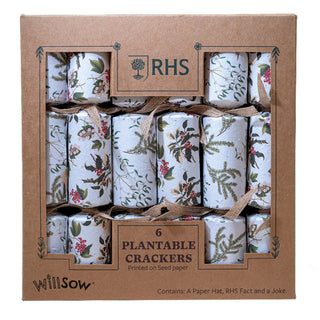 6 Plantable Christmas Crackers, Botanical Print with Wildflower Seeds