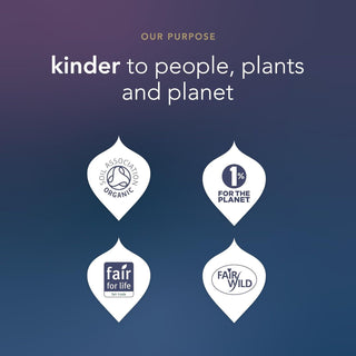 Pukka Tea Advent Calendar | Organic Herbal Tea Christmas Advent Calendar