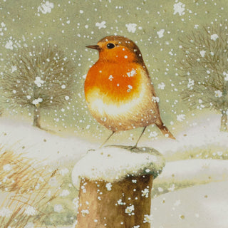 Christmas Robin Advent Calendar | Traditional Winter Scene with 24 Festive Doors