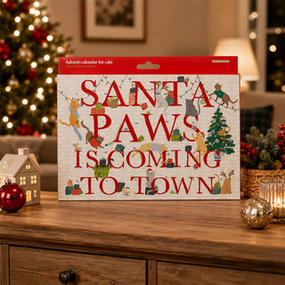 Cat Treat Advent Calendar, Christmas Countdown with Salmon & Chicken Treats