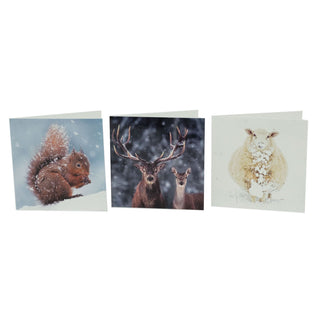 Pack of 20 National Trust Charity Christmas Greeting Cards | Winter Wildlife