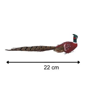 Natural Feathered Pheasant Clip-On Decoration | Christmas Tree Ornament - 22cm