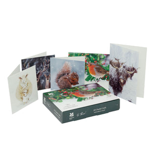 Pack of 20 National Trust Charity Christmas Greeting Cards | Winter Wildlife