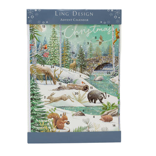 Festive Christmas Advent Calendar | Winter Flora & Fauna Advent Calendar