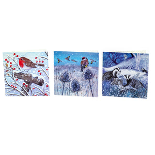 Pack of 20 RSPB Charity Christmas Greeting Cards | Winter Wildlife Designs