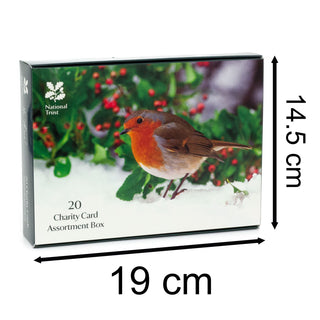 Pack of 20 National Trust Charity Christmas Greeting Cards | Winter Wildlife