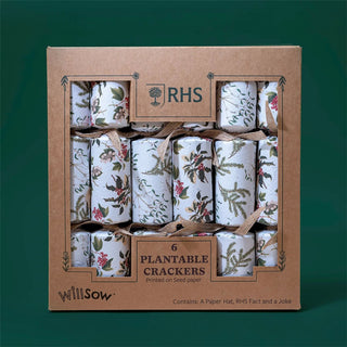 6 Plantable Christmas Crackers, Botanical Print with Wildflower Seeds